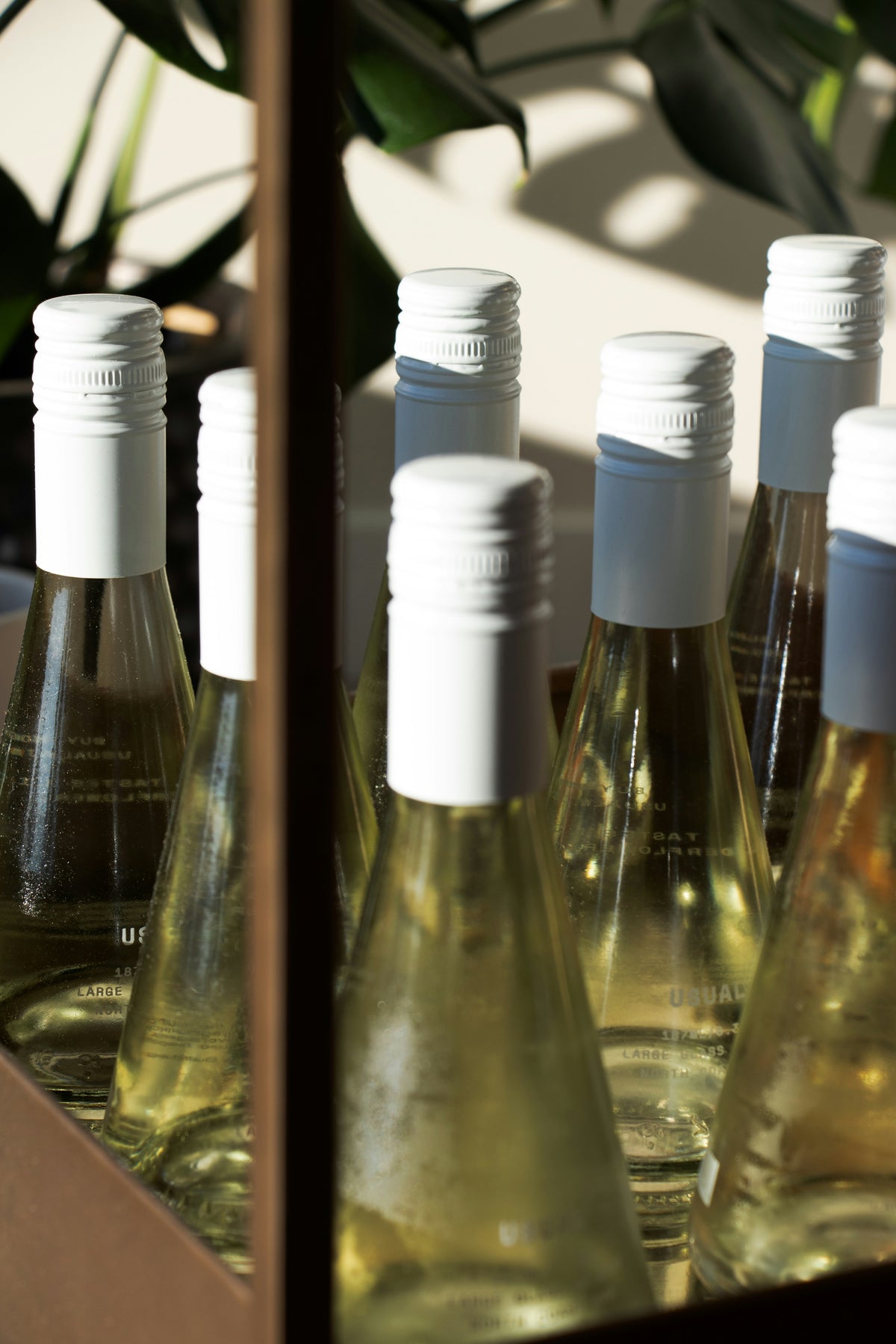 A close-up, artistic shot of several white wine bottles with white capsules and white caps, arranged in a row. The bottles are partially obscured by a dark vertical frame or divider, and soft shadows from leaves fall across them.