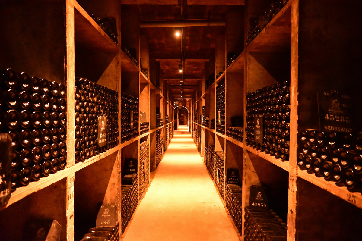 Long narrow wine cellar with shelves filled with wine bottles.
